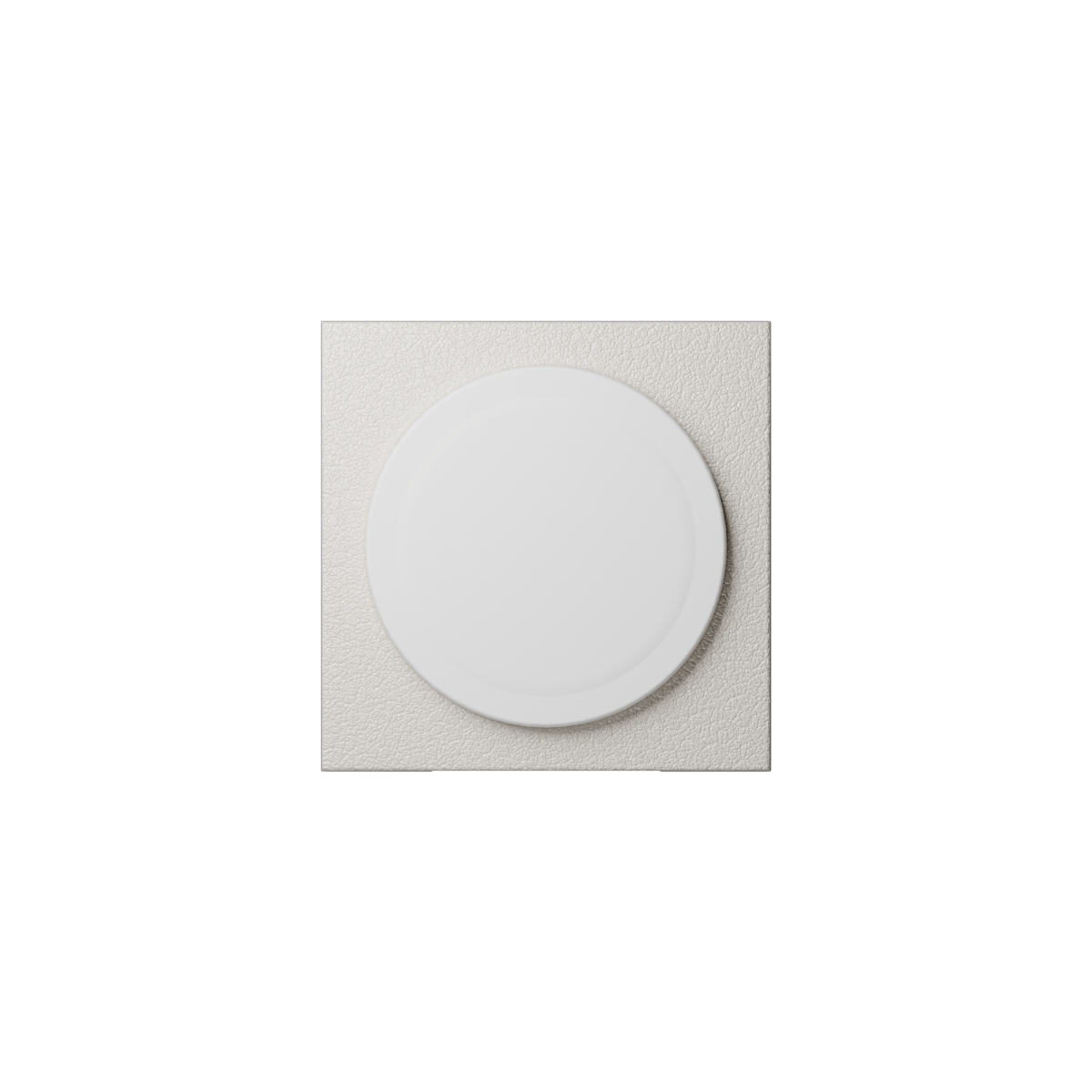 Native Union Rise Magnetic Wireless Charger - Ante ShopNATIVE UNIONWireless ChargerRS - SL - SAN